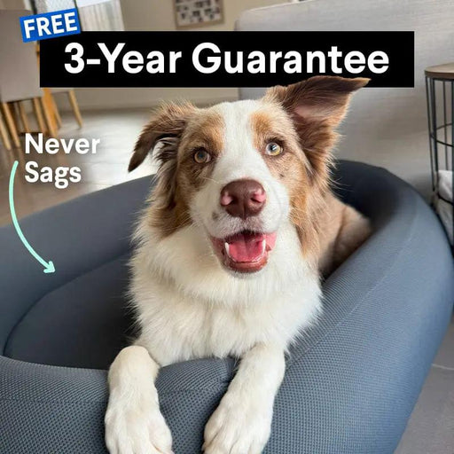 Brooklyn® Nest Cooling Dog Bed (Orthopaedic Memory Foam) by The Brooklyn