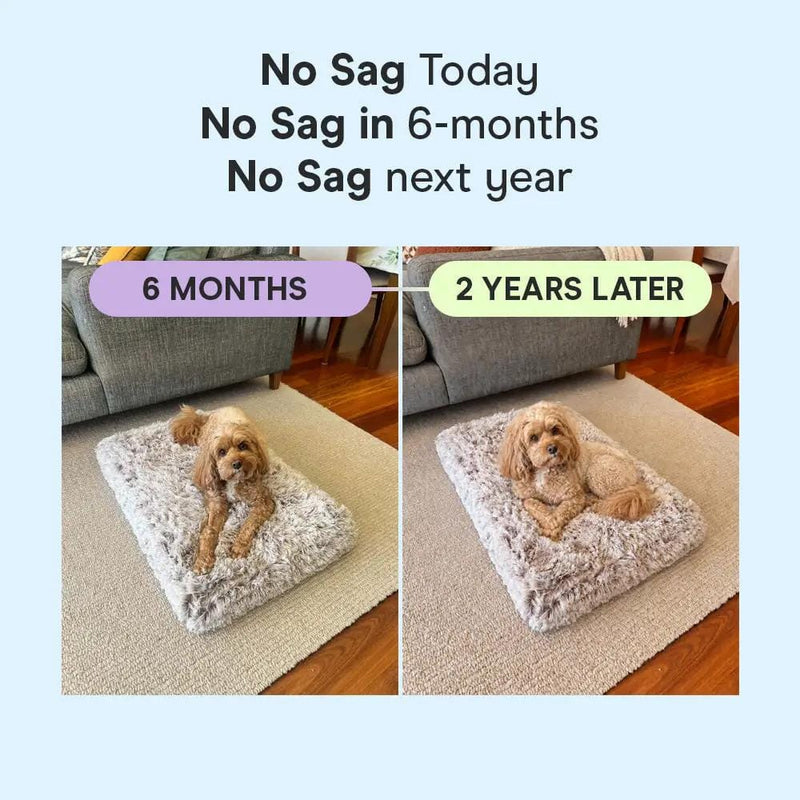The Brooklyn Dog Beds Brooklyn® Ultra Memory Foam Bed Brooklyn Ultra Comfort Memory Foam Dog Bed