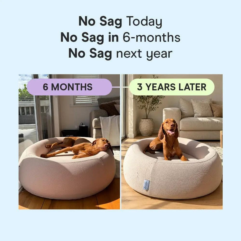 The Brooklyn Dog Beds Brooklyn® Nest Cooling Dog Bed (Orthopaedic Memory Foam) The Brooklyn Nest Cooling Dog Bed With Memory Foam