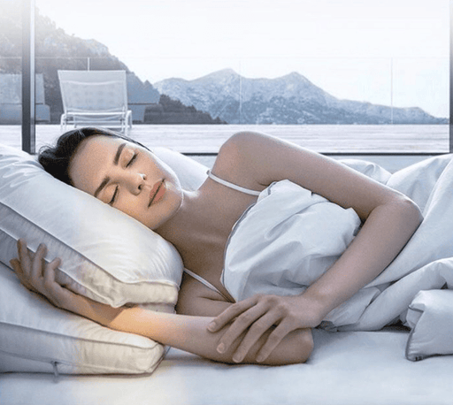 g8buynz g8buynz 2 Pack Pillows for Sleeping Soft and Supportive Pillow with Cotton cover 2 Pack Pillows for Sleeping Soft and Supportive Pillow with Cotton cover