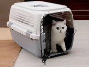 PP 30 Airline Approved Pet Carrier AIR NZ TRAVEL CAGE 58cm With Bowl by dealonline.co.nz