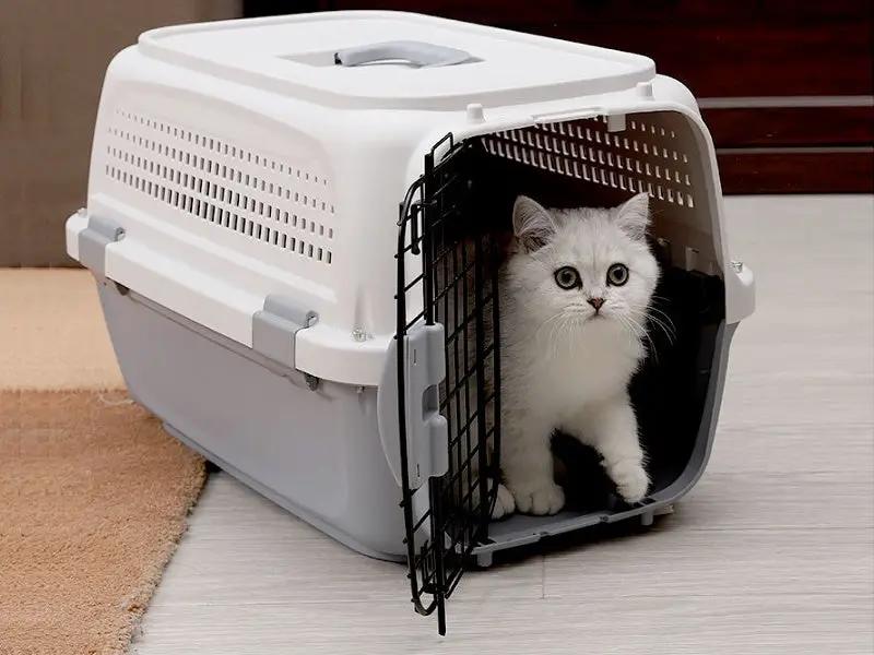 PP 30 Airline Approved Pet Carrier AIR NZ TRAVEL CAGE 58cm With Bowl by dealonline.co.nz