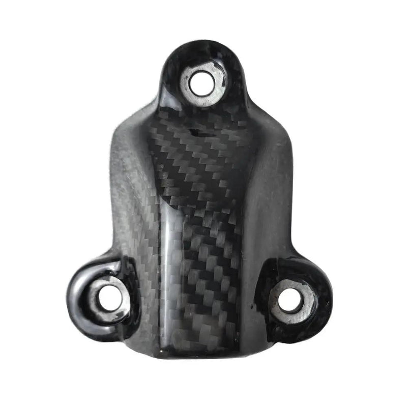 S1000RR 2023+ (Engine Cover Protection Case Fairing) Dry Carbon by CARBONISE