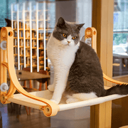 dealonline.co.nz dealonlinenz Cat Window Perch / Hammock 49cm x 30cm Up to 22.5kg Cat Window Perch Hammock 49x30cm Supports Up To 22 Kg