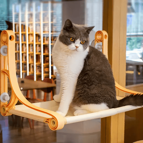 dealonline.co.nz dealonlinenz Cat Window Perch / Hammock 49cm x 30cm Up to 22.5kg Cat Window Perch Hammock 49x30cm Supports Up To 22 Kg