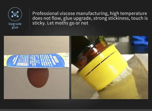 5PCS Clothing Pantry Moth Traps by salelink.co.nz