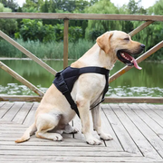 LARGE-BLACK Dog Harness Set Pet Adjustable Chest Strap Walking Collar Vest by dealonline.co.nz