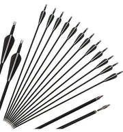 Carbon Arrows 12pcs by salelink.co.nz