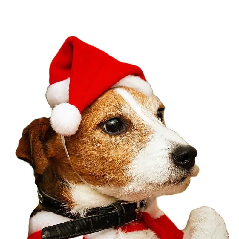 Dog Cat Christmas Costume Pet Decoration Hat & Scarf by salelink.co.nz