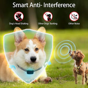 Anti Bark Dog Collar by salelink.co.nz