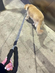 Dog Leash Heavy Duty 80-105cm Shock Absorbing Bungee with Handle BK by dealonline.co.nz