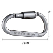 Heavy Duty D-Shaped Aluminium Carabiner Hooks HL3221 by ECOTREK