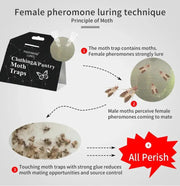 5PCS Clothing Pantry Moth Traps by salelink.co.nz