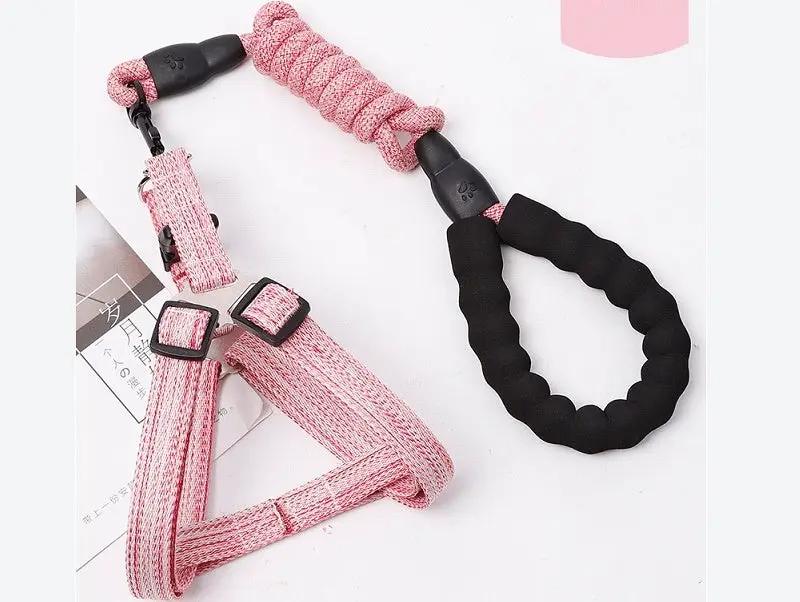 Dog Harness and leash Set Pet Harness Puppy Traction Rope by dealonline.co.nz