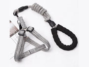 Dog Harness and leash Set Pet Harness Puppy Traction Rope by dealonline.co.nz