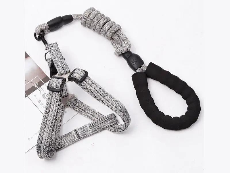 Dog Harness and leash Set Pet Harness Puppy Traction Rope by dealonline.co.nz