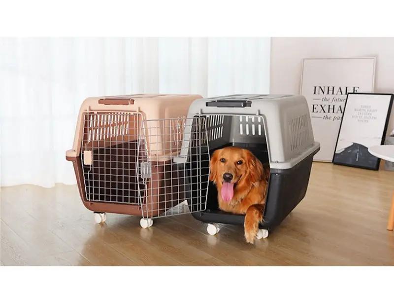 PP60 XX-Large Airline Travel Cage/Carrier/Crate 99cm Wheeled Air NZ with Bowl by dealonline.co.nz