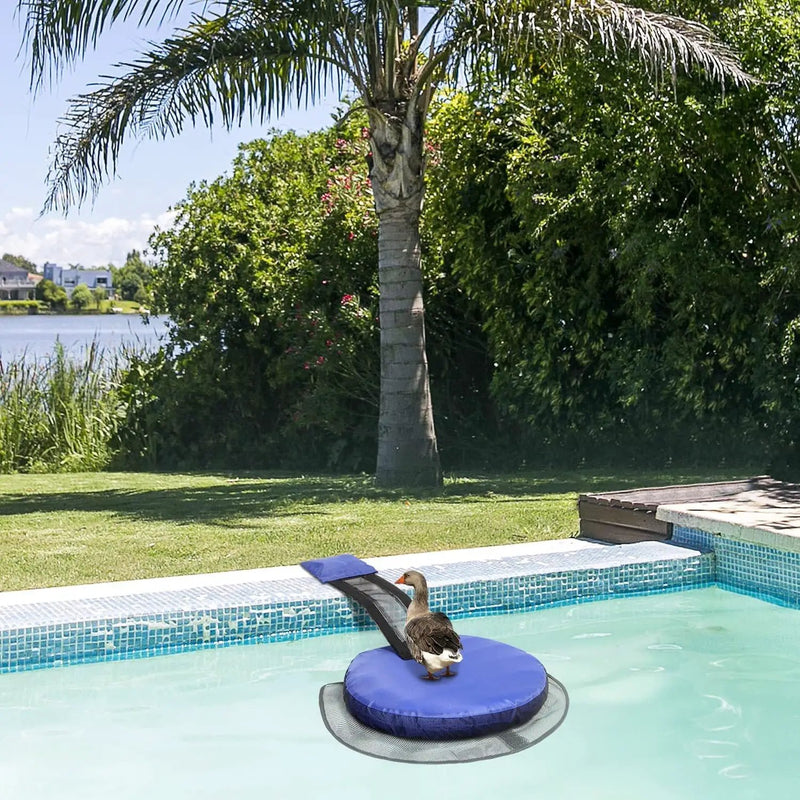 Animal Saving Escape Ramp by salelink.co.nz