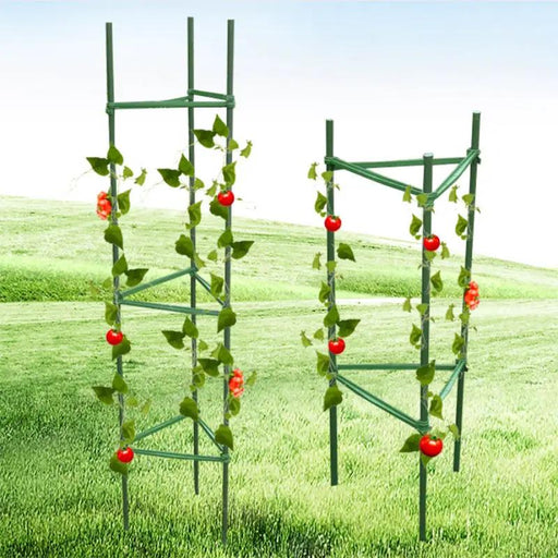 Plant Support Stake Tomato Cage by salelink.co.nz