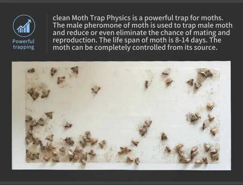 5PCS Clothing Pantry Moth Traps by salelink.co.nz