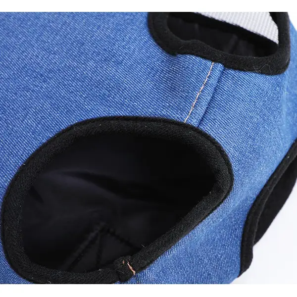Pet/Puppy Travel Carry Bag, Blue, Medium by dealonline.co.nz