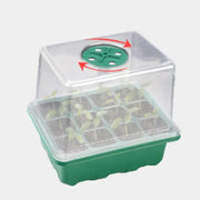 10 Packs Heightened Seed Box Seed Starter Tray Propagator by salelink.co.nz