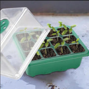 10 Packs Heightened Seed Box Seed Starter Tray Propagator by salelink.co.nz