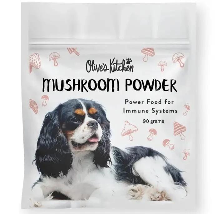 Animal Addiction Limited Dog Supplement Doggy Daily -  Dog Mushroom Powder - 90gms | Turkey Tail Doggy Daily -  Dog Mushroom Powder - 90gms | Turkey Tail