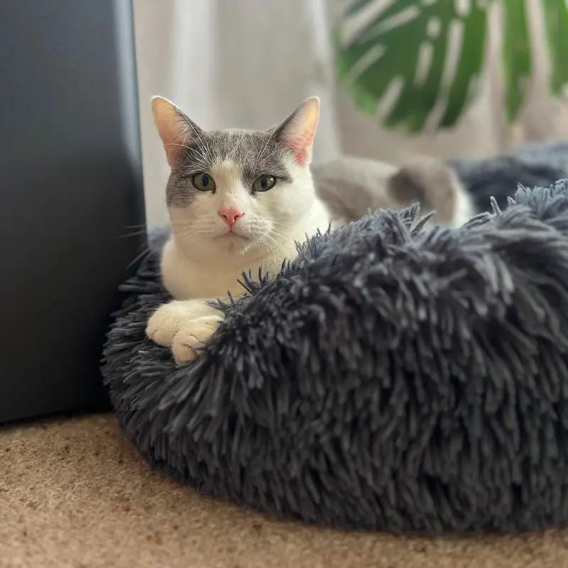 Brooklyn® Deep Sleep Cat Bed by The Brooklyn