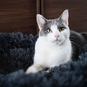 Brooklyn® Deep Sleep Cat Bed by The Brooklyn