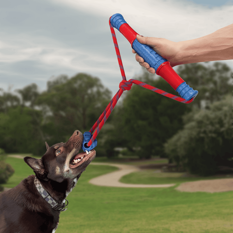 Animal Addiction Limited Dog Toys Kong Jaxx Mega Tug Blue Kong Jaxx Mega Tug Blue