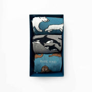 Arctic Animals Bamboo Socks Gift Box of 3 by Barekind NZ