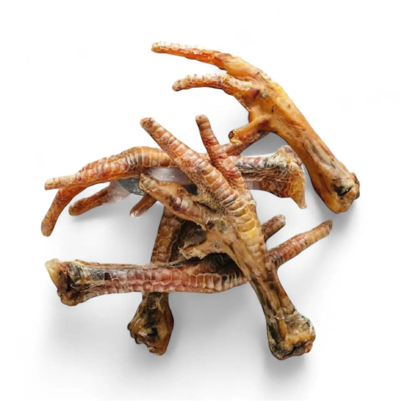 Chicken Feet Dog Treats by DogTreatNZ