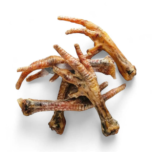 Chicken Feet Dog Treats by DogTreatNZ