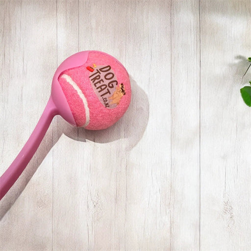 Tennis Ball Launcher by DogTreatNZ