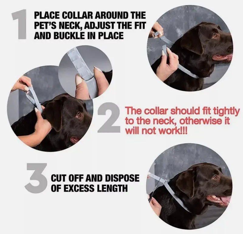 Flea and Tick Collar for Dogs Size 63.5cm by salelink.co.nz