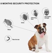 Flea and Tick Collar for Dogs Size 63.5cm by salelink.co.nz