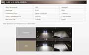 1 Pair D4C D4S D4R HID Xenon Car Headlight Bulb 35W 6000K by salelink.co.nz