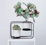 Flower Pot Ceramic Planter Rack Holder Shlef by salelink.co.nz