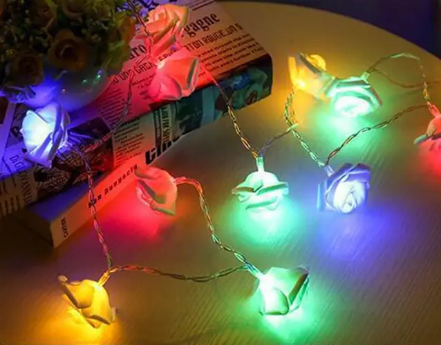 3Meters 30LED Rose Flower String Lights by salelink.co.nz