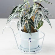 3pcs White Flower Plant Rack Holder Balcony Stand Metal by salelink.co.nz