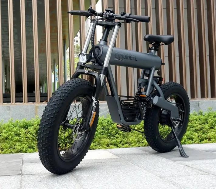Kiwi eRide Kiwi Hoverboard Coswheel T20 20AH E bike Coswheel T20 20AH E bike