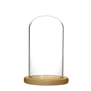 12x22cm Clear Glass Dome Shade Cover Case With Wood Base Board by salelink.co.nz
