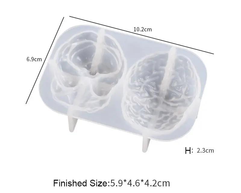 3D Silicone Molds for Simulated Human Organs by Resin Art NZ