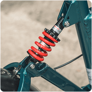 Kiwi eRide Kiwi eRide Fiido M1 Pro E bike 48V 13Ah Folding Electric Bike Fiido M1 Pro E bike 48V 13Ah Folding Electric Bike