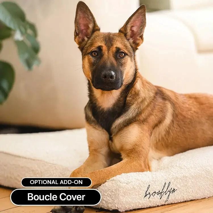 The Brooklyn Dog Beds Brooklyn® Ultra Memory Foam Bed Brooklyn Ultra Comfort Memory Foam Dog Bed