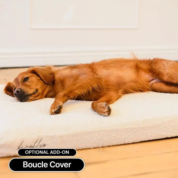 The Brooklyn Dog Beds Brooklyn® Ultra Memory Foam Bed Brooklyn Ultra Comfort Memory Foam Dog Bed