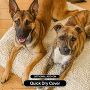 The Brooklyn Dog Beds Brooklyn® Ultra Memory Foam Bed Brooklyn Ultra Comfort Memory Foam Dog Bed