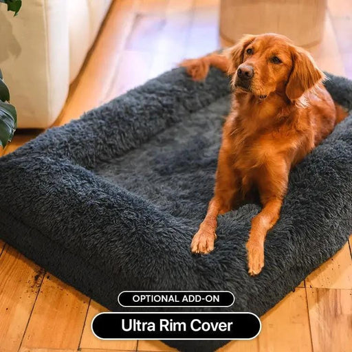 The Brooklyn Dog Beds Brooklyn® Ultra Memory Foam Bed Brooklyn Ultra Comfort Memory Foam Dog Bed