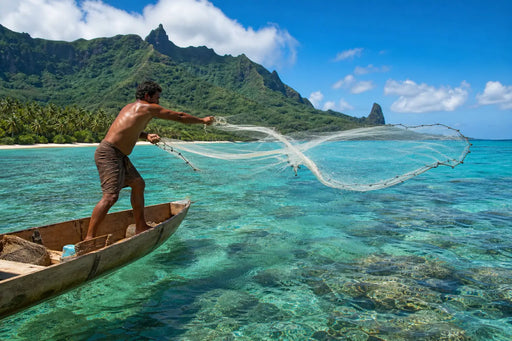 Action Fishing Nets Fishing Nets 3 Inch x 0.70mm Pacific Island Mesh x 240M 20MD 3 Inch x 0.70mm Pacific Island Mesh x 240M 20MD | Action